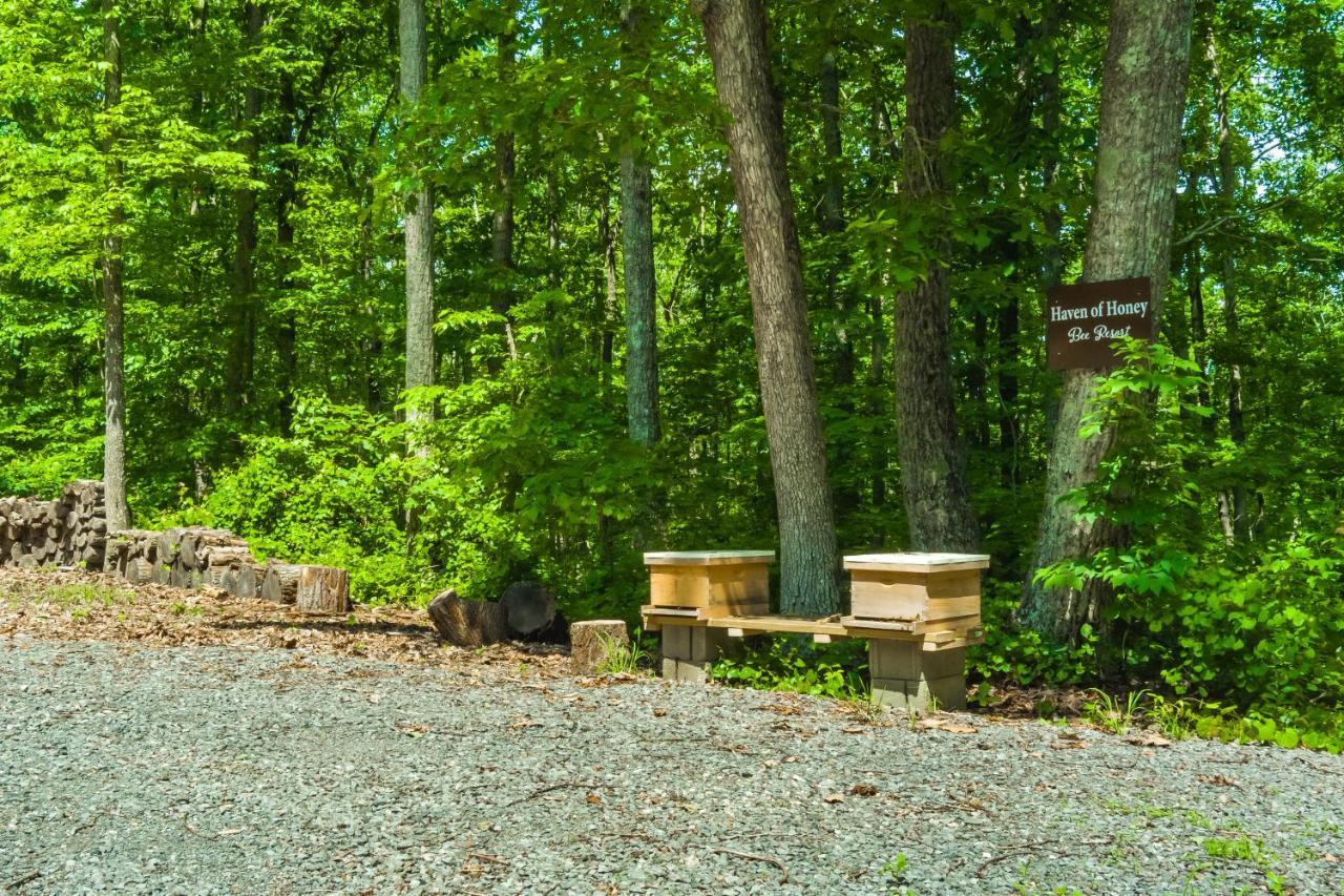 Serenity Escape Treehouse On 14 Acres Near Little River Canyon Fort Payne Exterior photo
